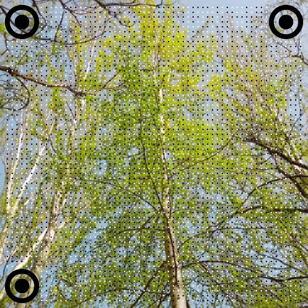 去中心化网络中隐私保护的创新解决方案_隐私管理体系_隐私策略