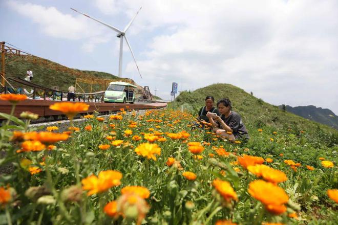 数字货币如何提升农产品供应链效率:带动农业经济的新动力_数字货币如何提升农产品供应链效率:带动农业经济的新动力_数字货币如何提升农产品供应链效率:带动农业经济的新动力