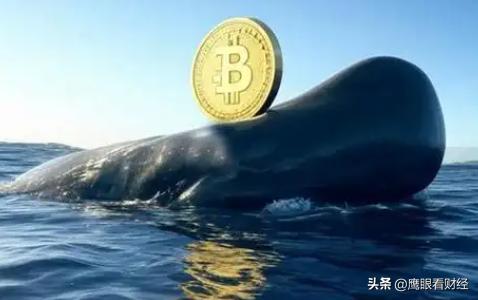 比特币买问决定投资是否正确_问:我现在应该买比特币吗?决定比特币是否是一项好的投资_比特币买比特币