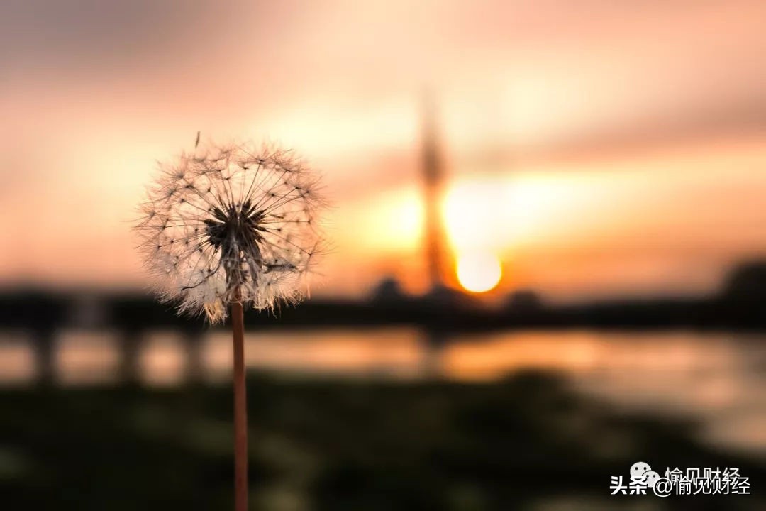 铭记历史对金融系统的启示：探究比特币暴涨与热钱来源